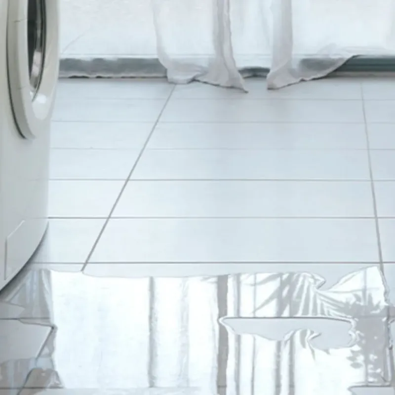 Appliance Leak Cleanup in Springfield, FL