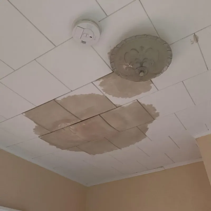 Ceiling Water Damage Repair in Springfield, FL