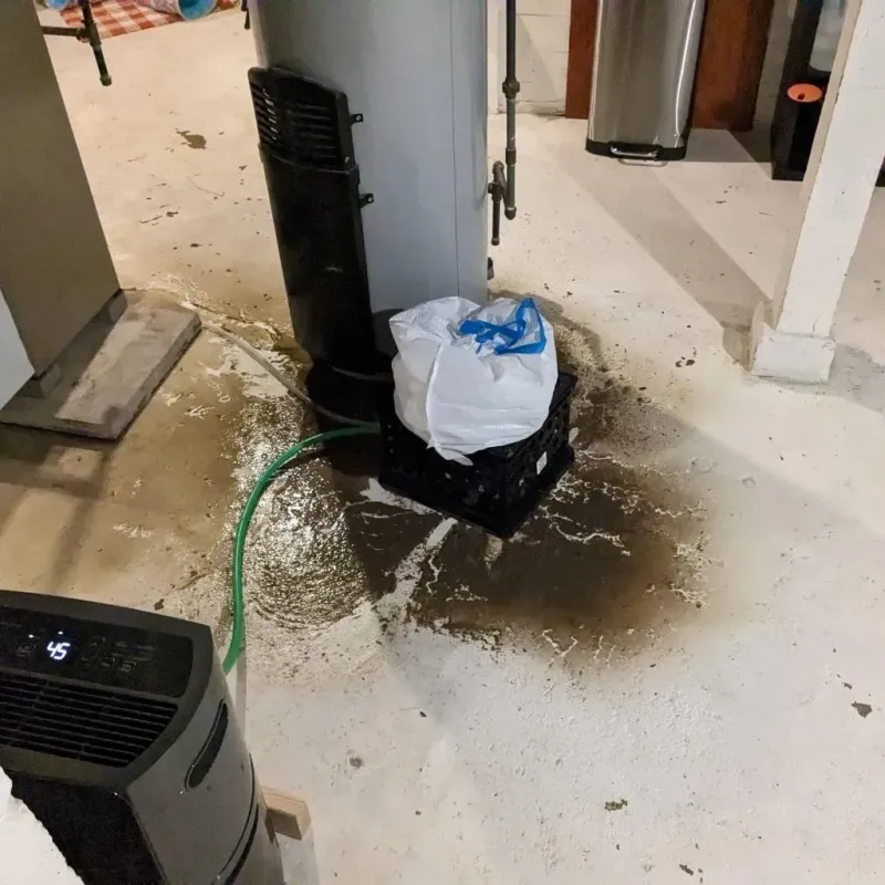 Sewage Backup Cleanup Service in Springfield, FL